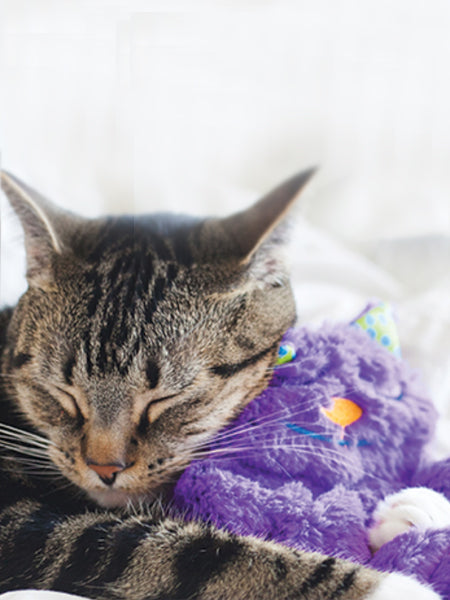 pet-stages-peluche-chat-Purr-Pillow-Kitty-