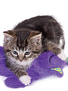 pet-stages-peluche-chat-Purr-Pillow-Kitty-