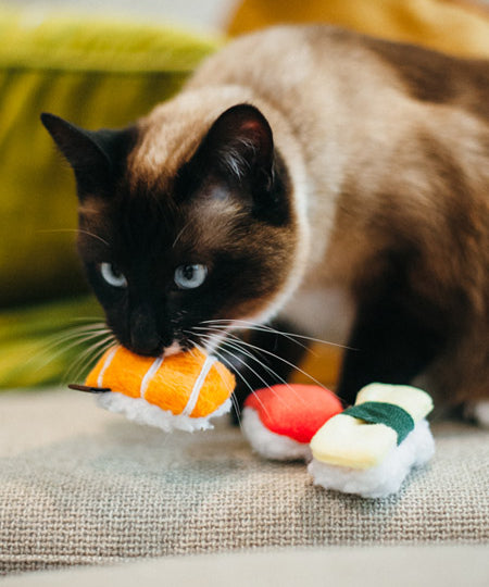 petplay Jouet pour chat à cataire biologique sushi