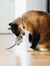 chat-jouet-avec-une-souris-Herbe-à-chat-biologique