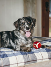 pet-play-jouet-pour-chien-balle-football-us