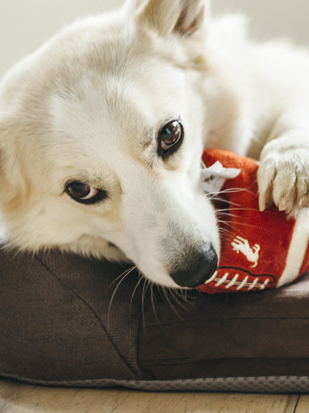 pet-play-jouet-pour-chien-balle-football-us