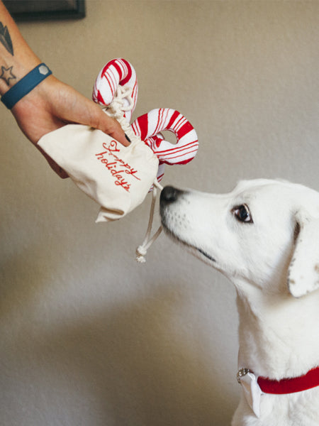 pet-play-jouet-pour-chien-ecologique-sucre-orge-noel