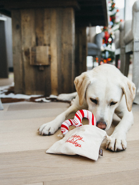 pet-play-jouet-pour-chien-ecologique-sucre-orge-noel