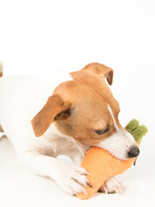 pet-play-jouet-pour-chien-carotte