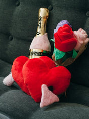 pet-play-jouet-pour-chien-saint-valentin