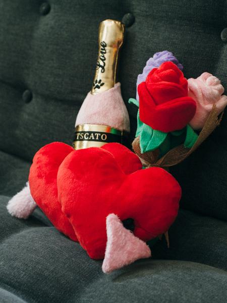 pet-play-jouet-pour-chien-saint-valentin