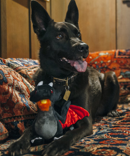 pet-play-jouet-pour-chien-ecologique-dragon