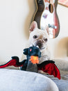 pet-play-jouet-pour-chien-dragon