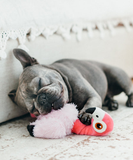 petplay-peluche-ecofriendly-pour-chien-flamant-rose