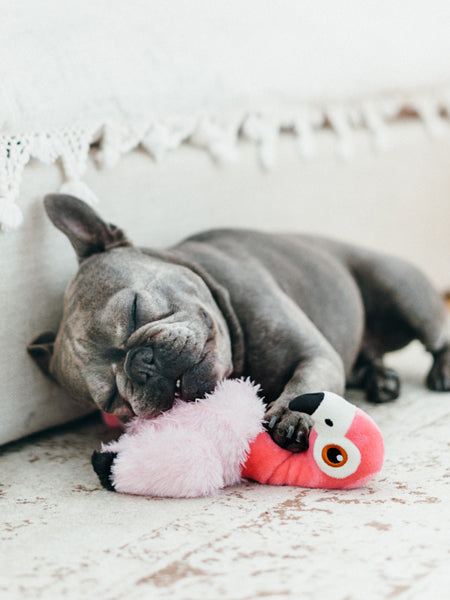 petplay-peluche-ecofriendly-pour-chien-flamant-rose