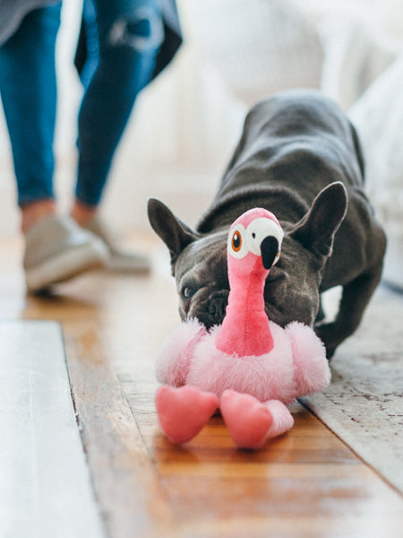 petplay-peluche-ecofriendly-pour-chien-flamant-rose
