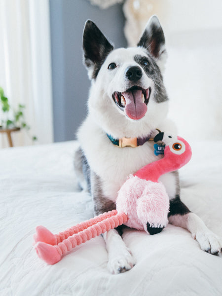 petplay-peluche-ecofriendly-pour-chien-flamant-rose