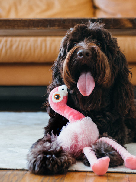 petplay-peluche-ecofriendly-pour-chien-flamant-rose