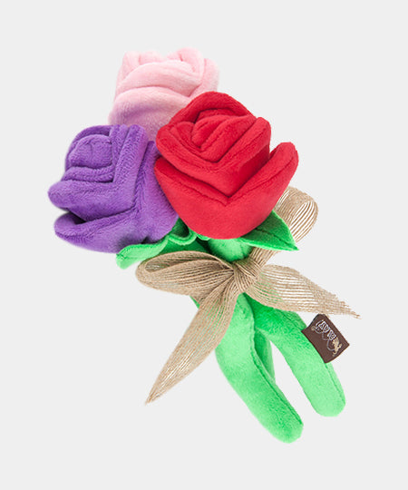 pet-play-jouet-pour-chien-saint-valentin