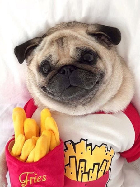 Peluche pour chien frites pet play