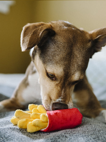 Peluche pour chien frites pet play