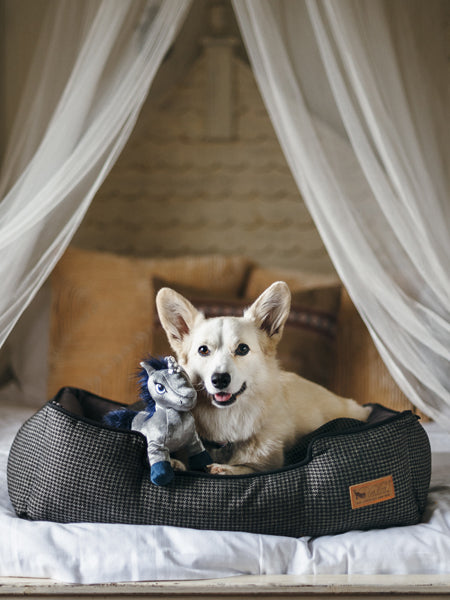 pet-play-jouet-pour-chien-licorne