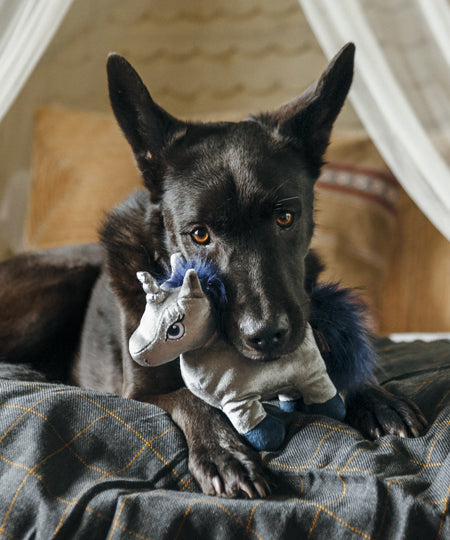 pet-play-jouet-pour-chien-licorne