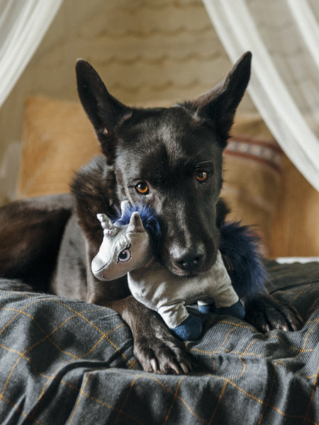 pet-play-jouet-pour-chien-licorne