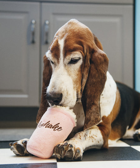 Peluche pour chien milkshake pet play