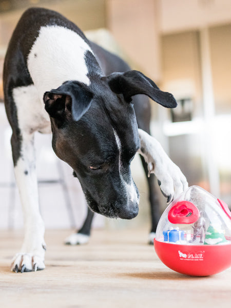 wobble-ball-jouet-stimulant-pour-chien