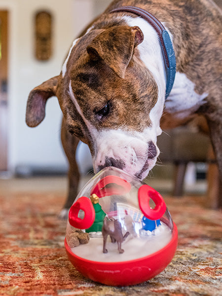 wobble-ball-jouet-interactif-pour-chien
