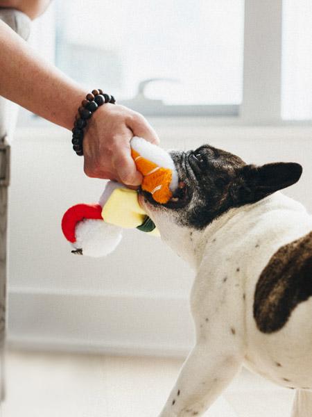 pet-play-jouet-pour-chien-sushi