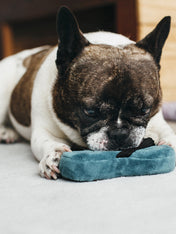     petplay-peluche-ecofriendly-pour-chien-tongue