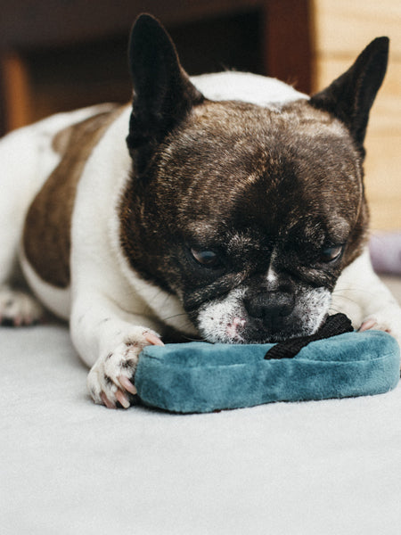     petplay-peluche-ecofriendly-pour-chien-tongue