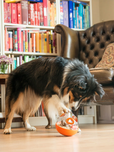 wobble-ball-jouet-stimulant-pour-chien