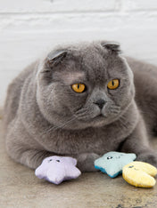       petstage-jouet-pour-chat-Toss-N-Twinkle