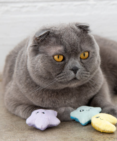       petstage-jouet-pour-chat-Toss-N-Twinkle