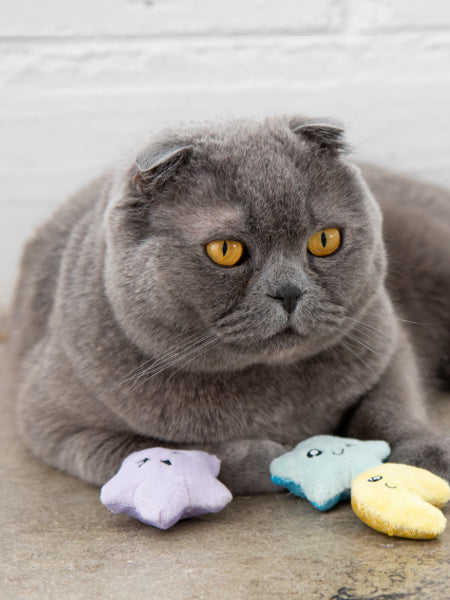       petstage-jouet-pour-chat-Toss-N-Twinkle