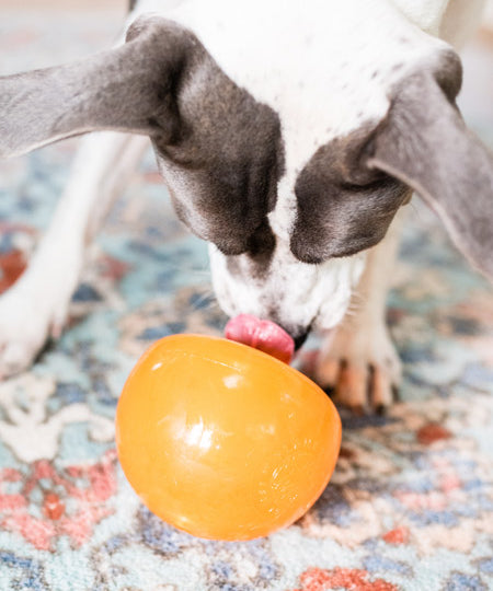planet-dog-jouet-interactif-occupation-chien-snoop-orbee-tuff