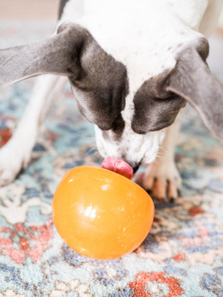 planet-dog-jouet-interactif-occupation-chien-snoop-orbee-tuff