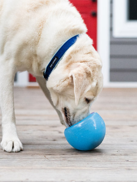 planet-dog-jouet-interactif-occupation-chien-snoop-orbee-tuff