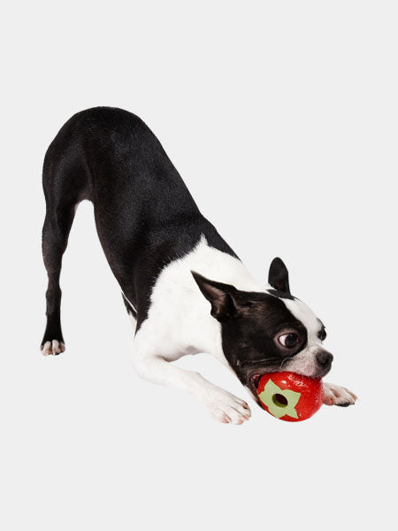 planet-dog-jouet-pour-chien-resistant-eco-friendly-durable-naturel-fraise