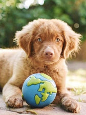 planet-dog-jouet-resistant-eco-friendly-durable-naturel-balle-chiot