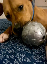 planet-dog-jouet-resistant-eco-friendly-durable-naturel-balle-diamond-plate
