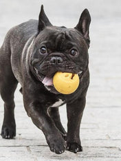 planet-dog-jouet-resistant-eco-friendly-durable-naturel-balle-nook-smiley