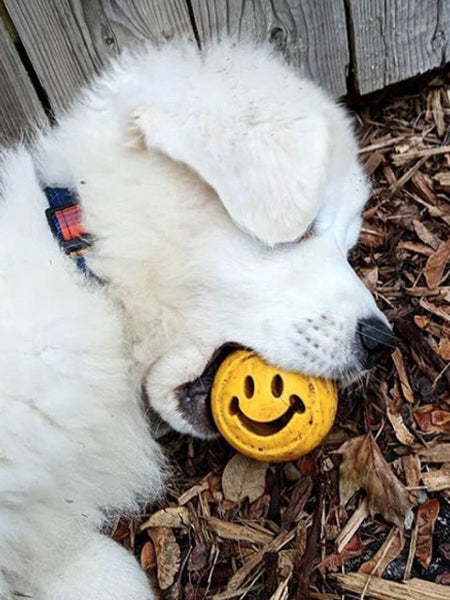 planet-dog-jouet-resistant-eco-friendly-durable-naturel-balle-nook-smiley