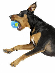 planet-dog-jouet-pour-chien-resistant-eco-friendly-durable-naturel-balle-planete