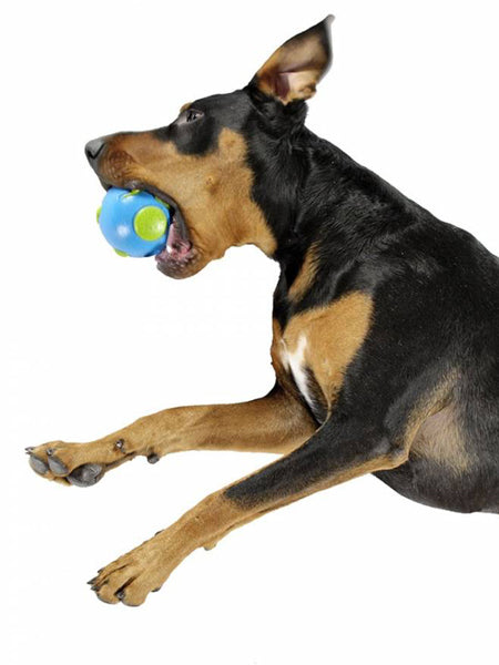 planet-dog-jouet-pour-chien-resistant-eco-friendly-durable-naturel-balle-planete