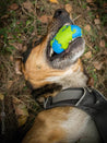 planet-dog-jouet-pour-chien-resistant-eco-friendly-durable-naturel-balle-planete