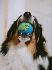 planet-dog-jouet-resistant-eco-friendly-durable-naturel-balle-chiot