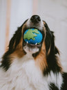 planet-dog-jouet-resistant-eco-friendly-durable-naturel-balle-chiot