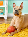    planet-dog-jouet-resistant-eco-friendly-durable-naturel-basketball
