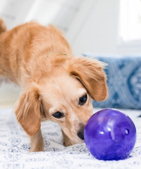        planet-dog-jouet-resistant-eco-friendly-durable-naturel-lil_-snoop