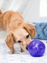        planet-dog-jouet-resistant-eco-friendly-durable-naturel-lil_-snoop